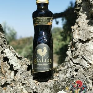 Gallo Vinagre Balsamico | SaboresDePortugal.nl