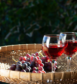 Vinho Rose - Rosé Wijn uit Portugal - Salinto.nl